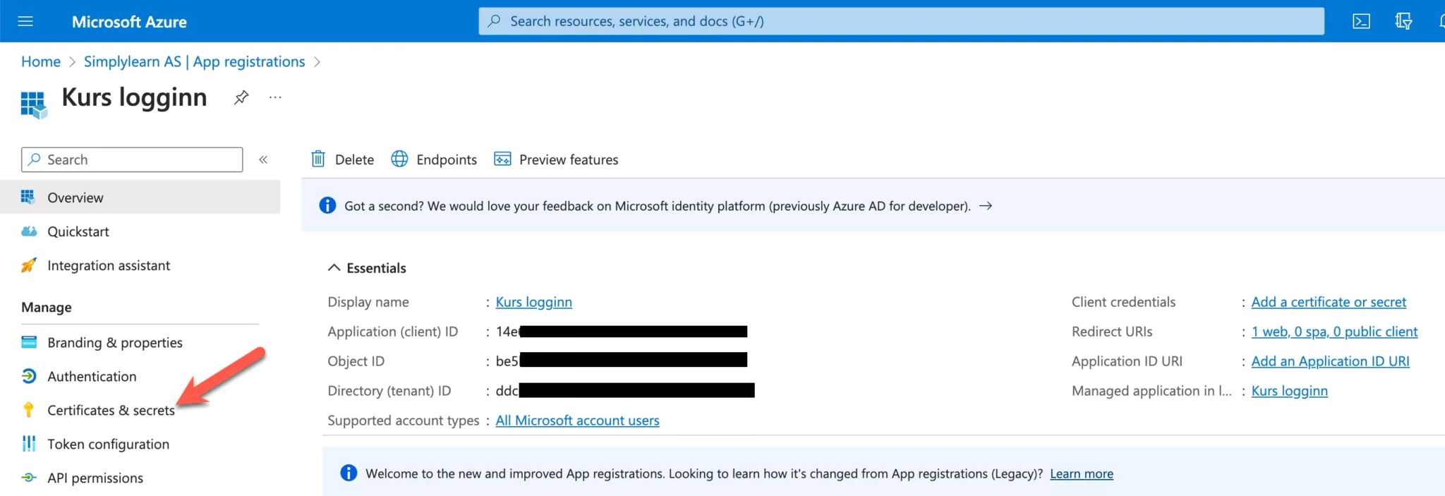 Applikasjonens oversiktsside med Application (client) ID